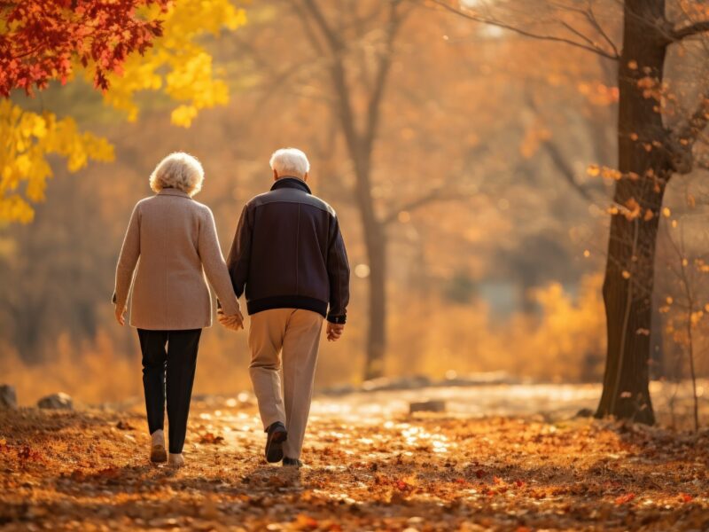 couple grandparent walking in autumn park couple grandparent walking in autumn park